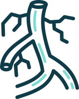 Vein Care
